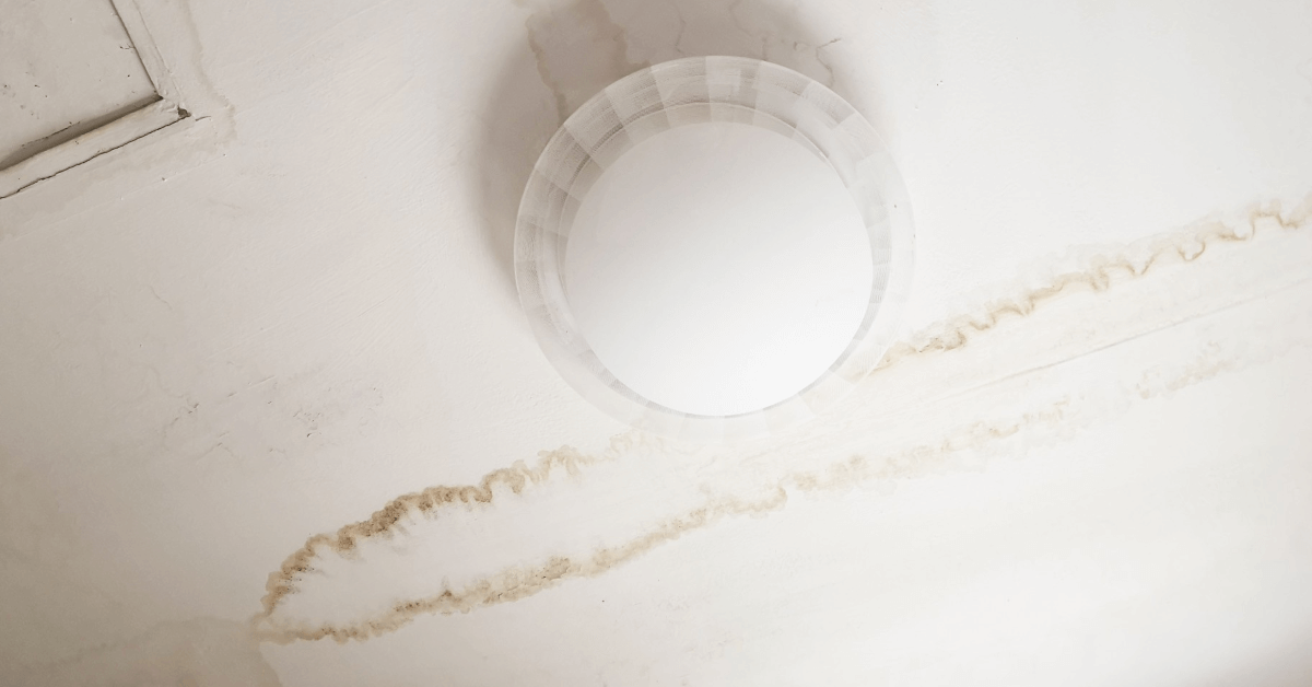 Mold Remediation in Orlando