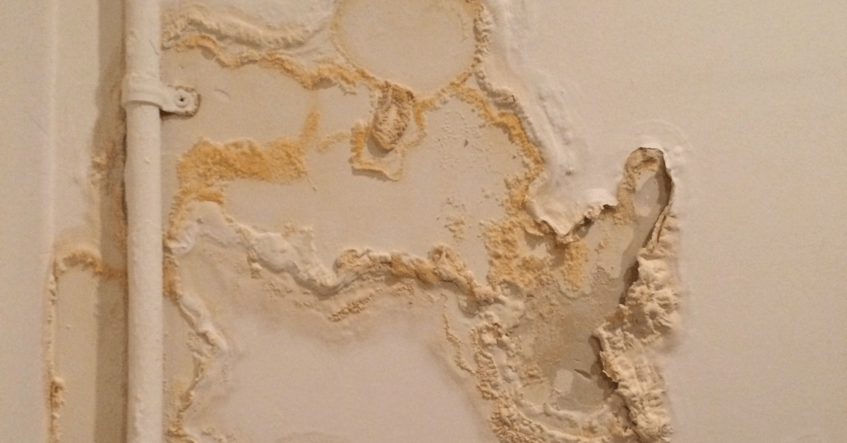 water damage near Orlando