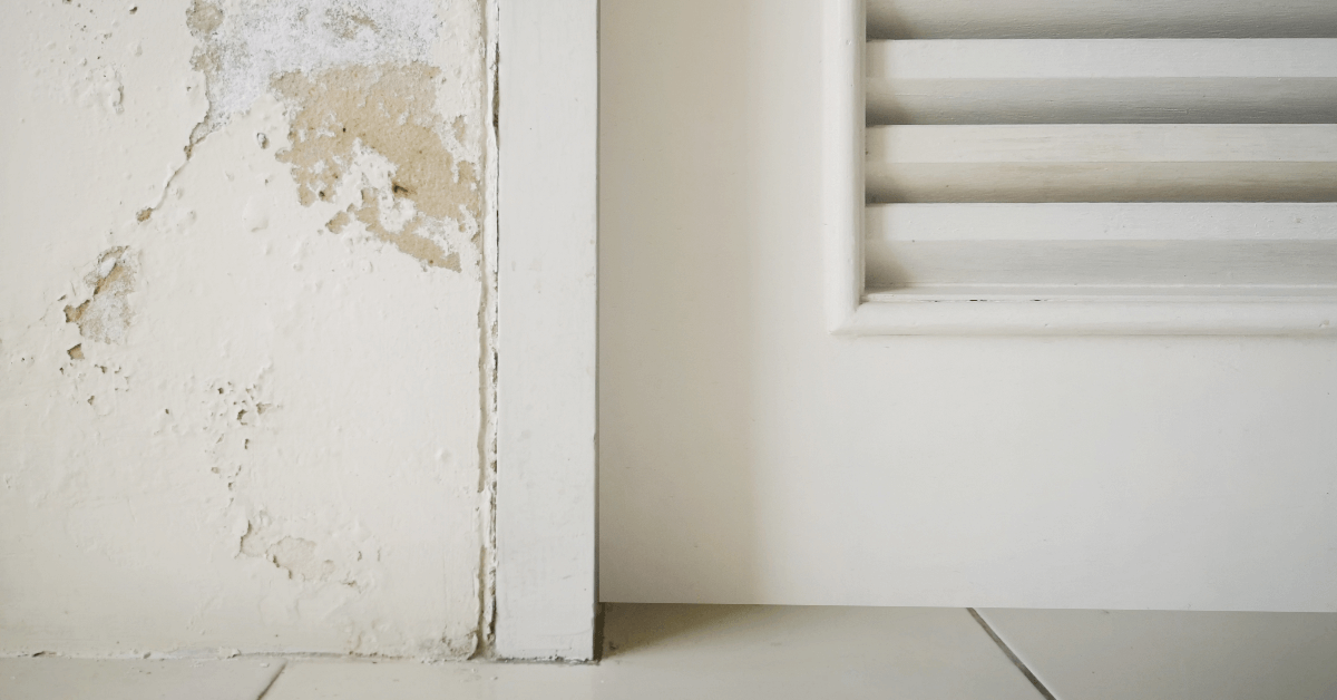 prevent mold in Orlando