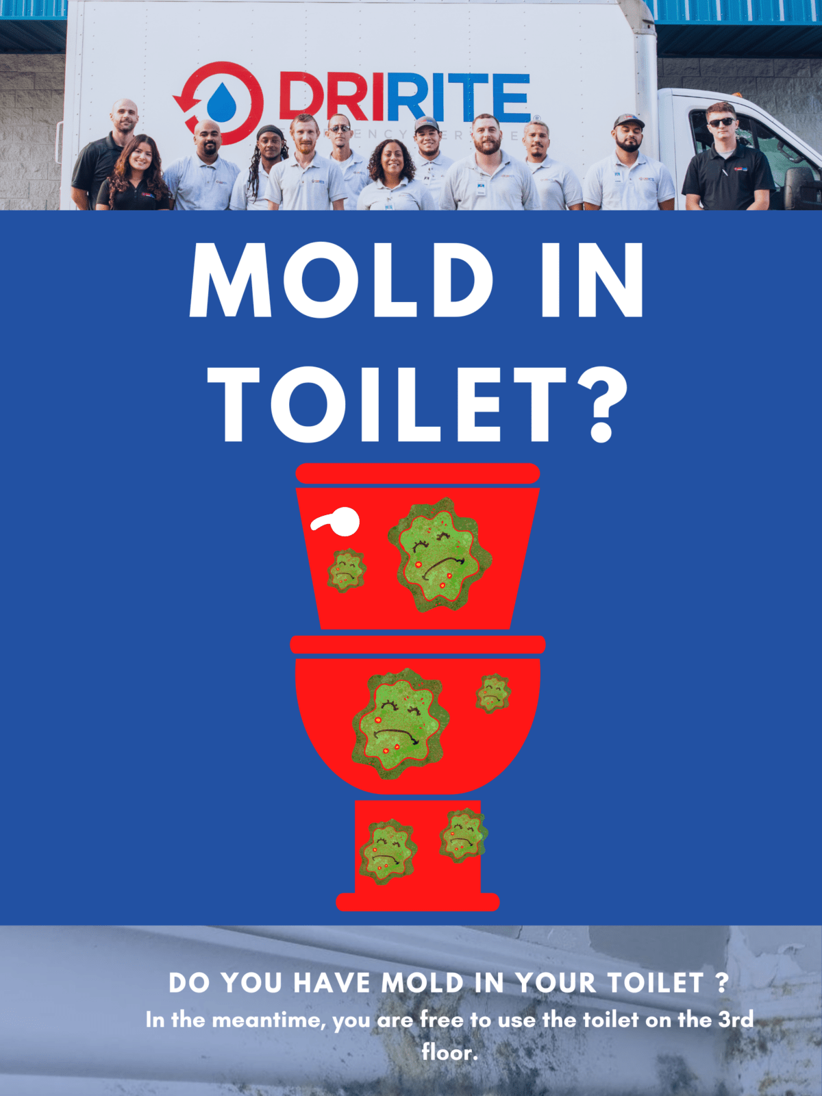 mold in toilet